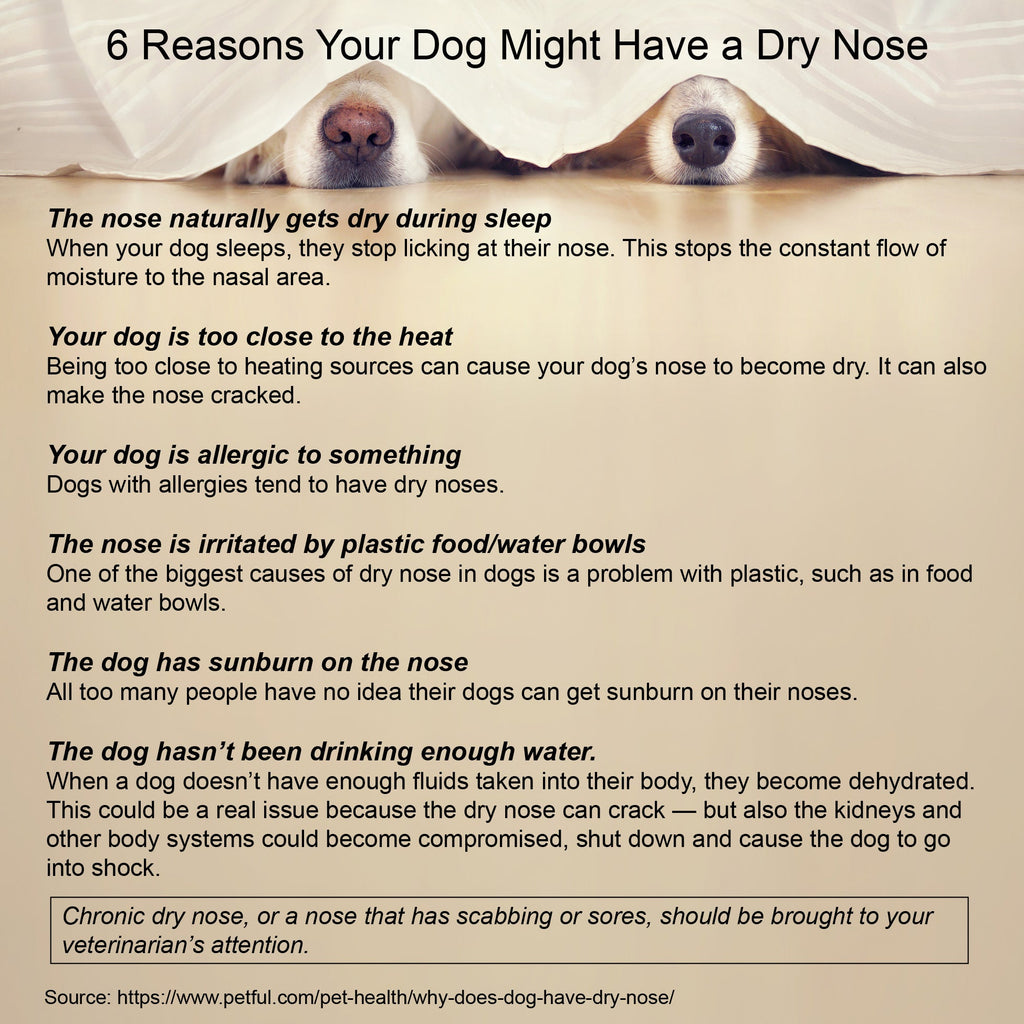 Dog Skin Healing Cream (Fast-Acting, Soothing Relief) – 4 oz