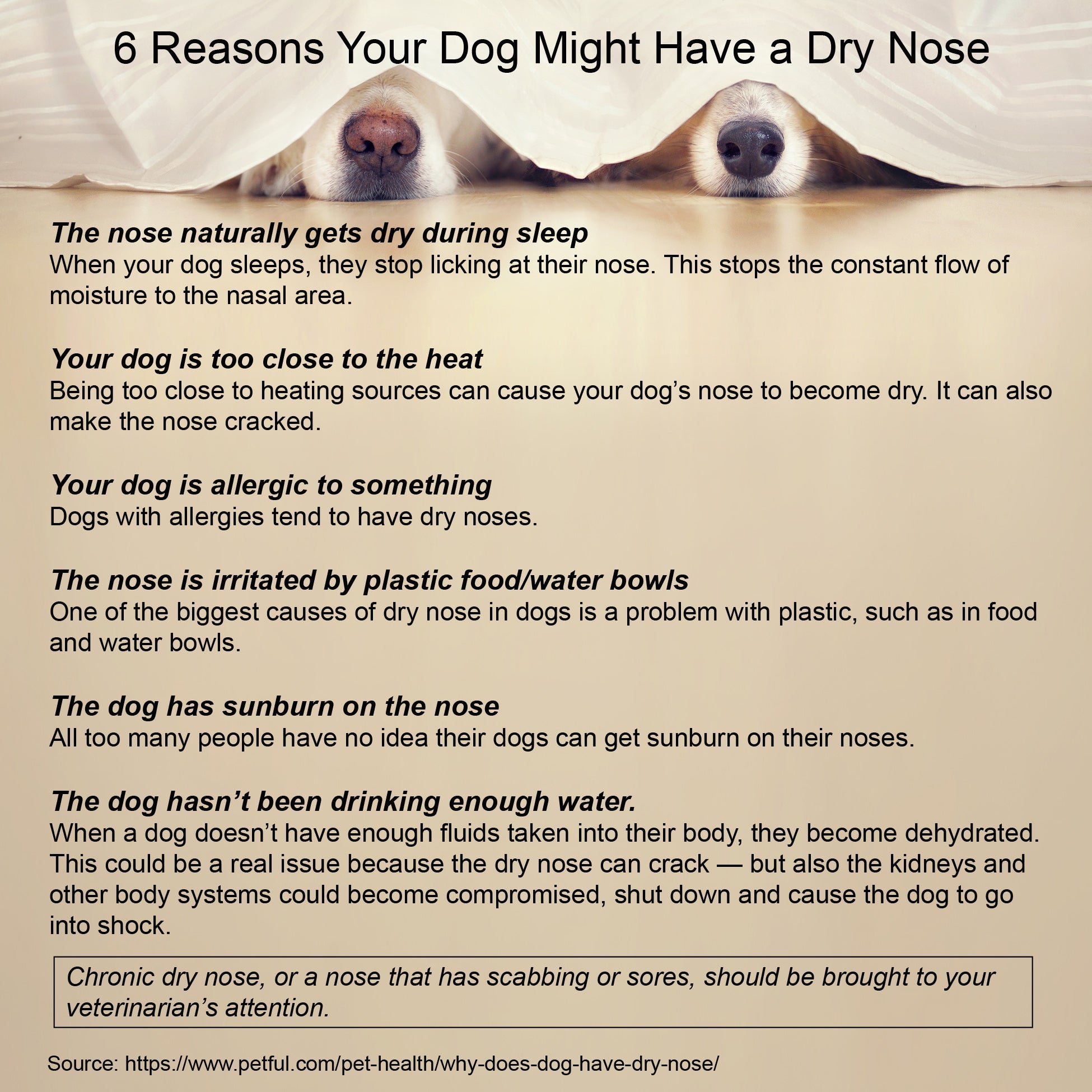 Dog Skin Healing Cream (Fast-Acting, Soothing Relief) – 4 oz