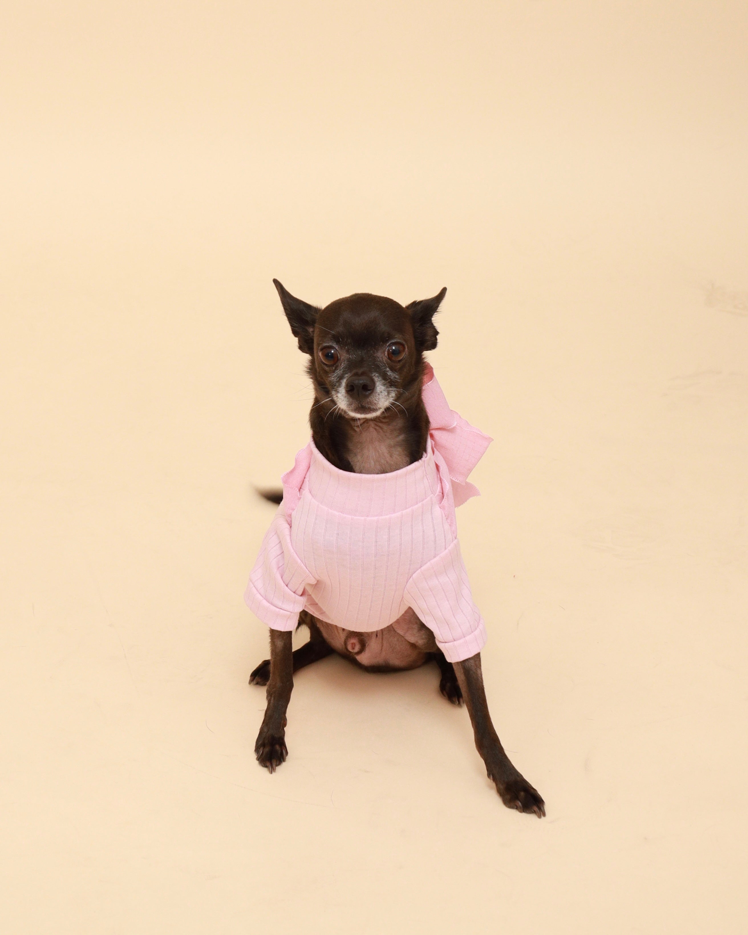Pink Bow Cotton Turtleneck