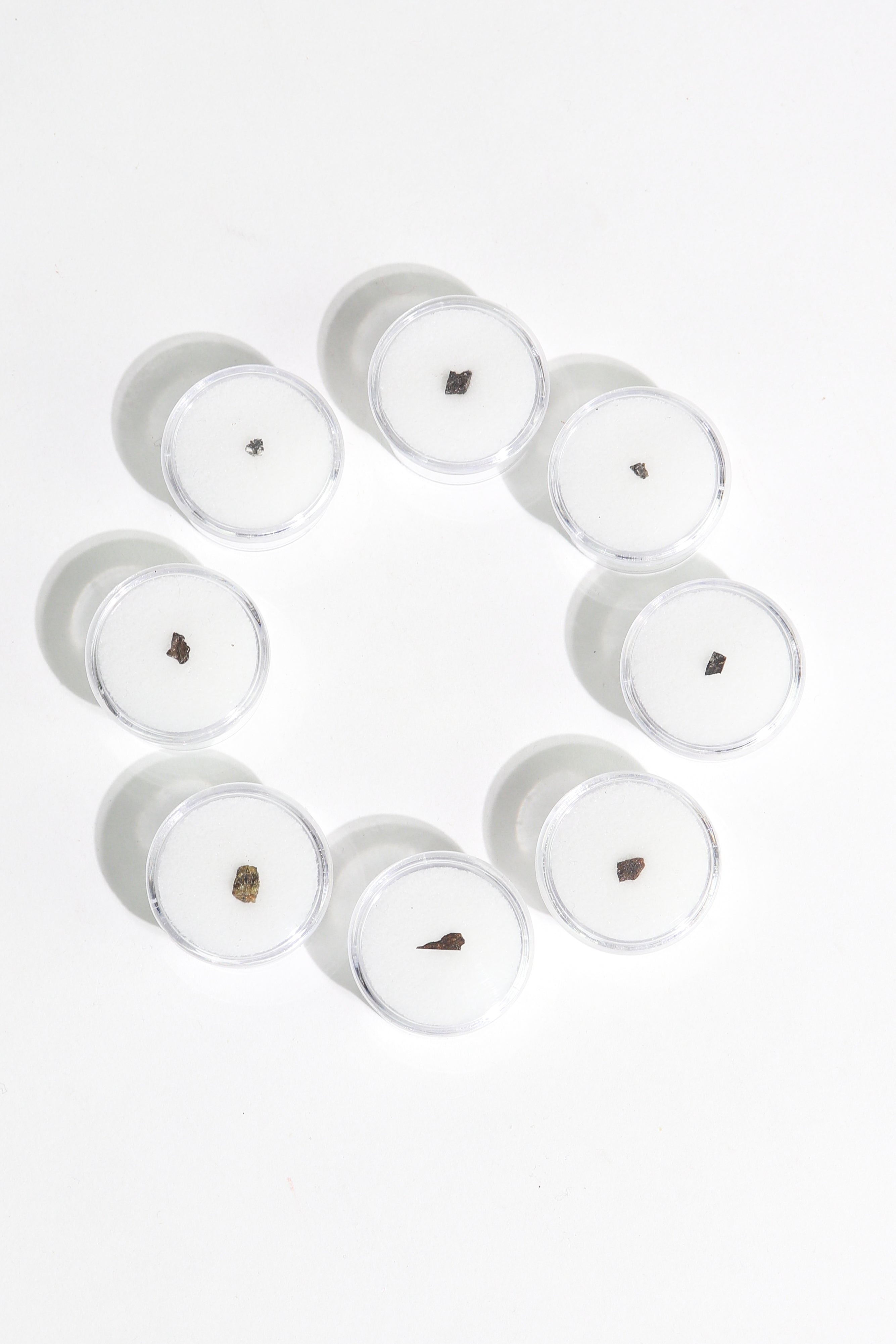 Meteorite Blind Bag: Cosmology Series 1 (Limited Run)