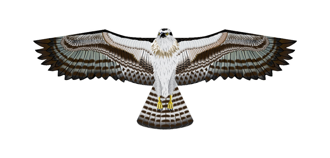 70 Inch Wingspan Supersize Ultra Osprey Ripstop Nylon Osprey Kite
