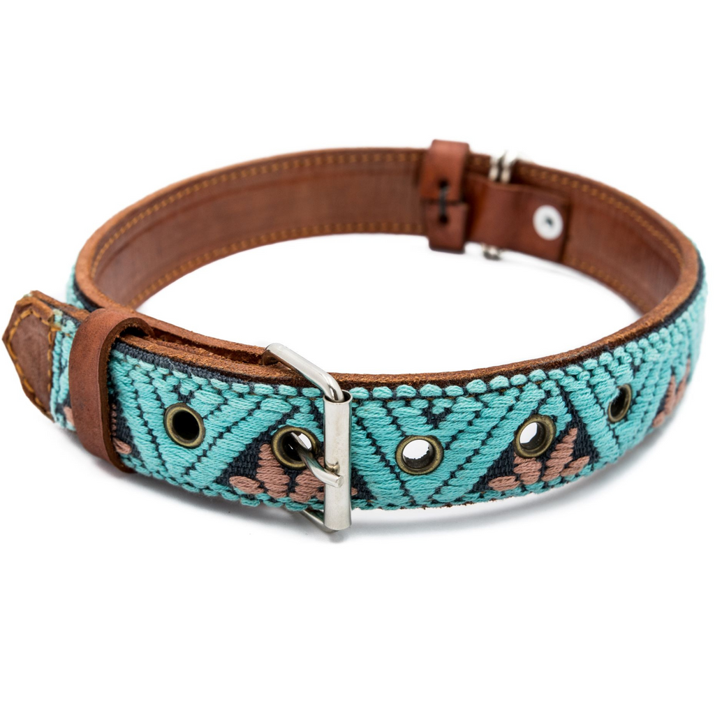 Leather Dog Collar - Teal