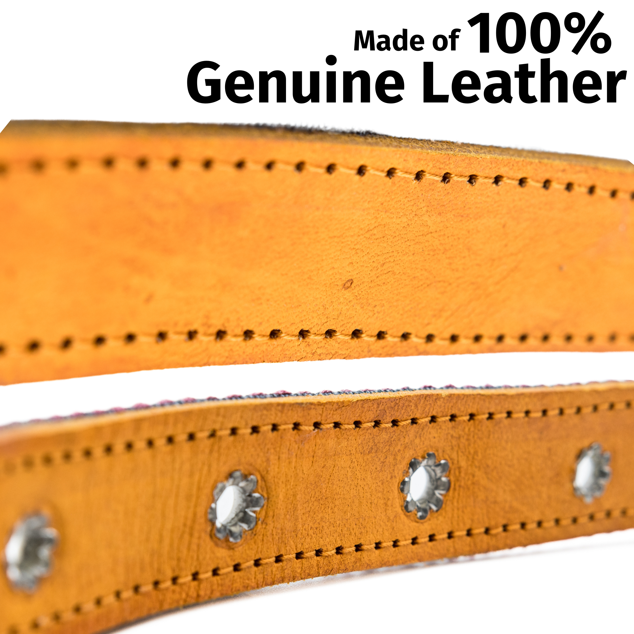 Leather Dog Collar - Camelot