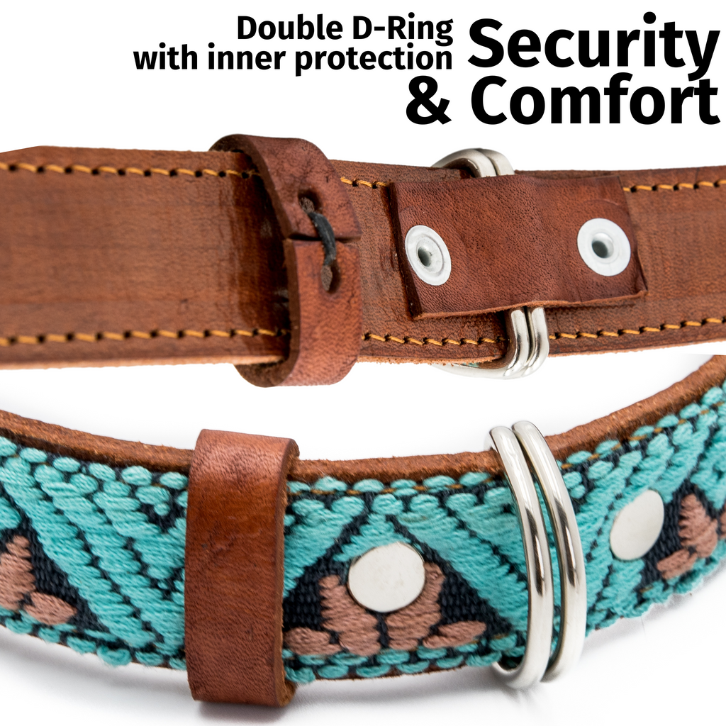 Leather Dog Collar - Teal
