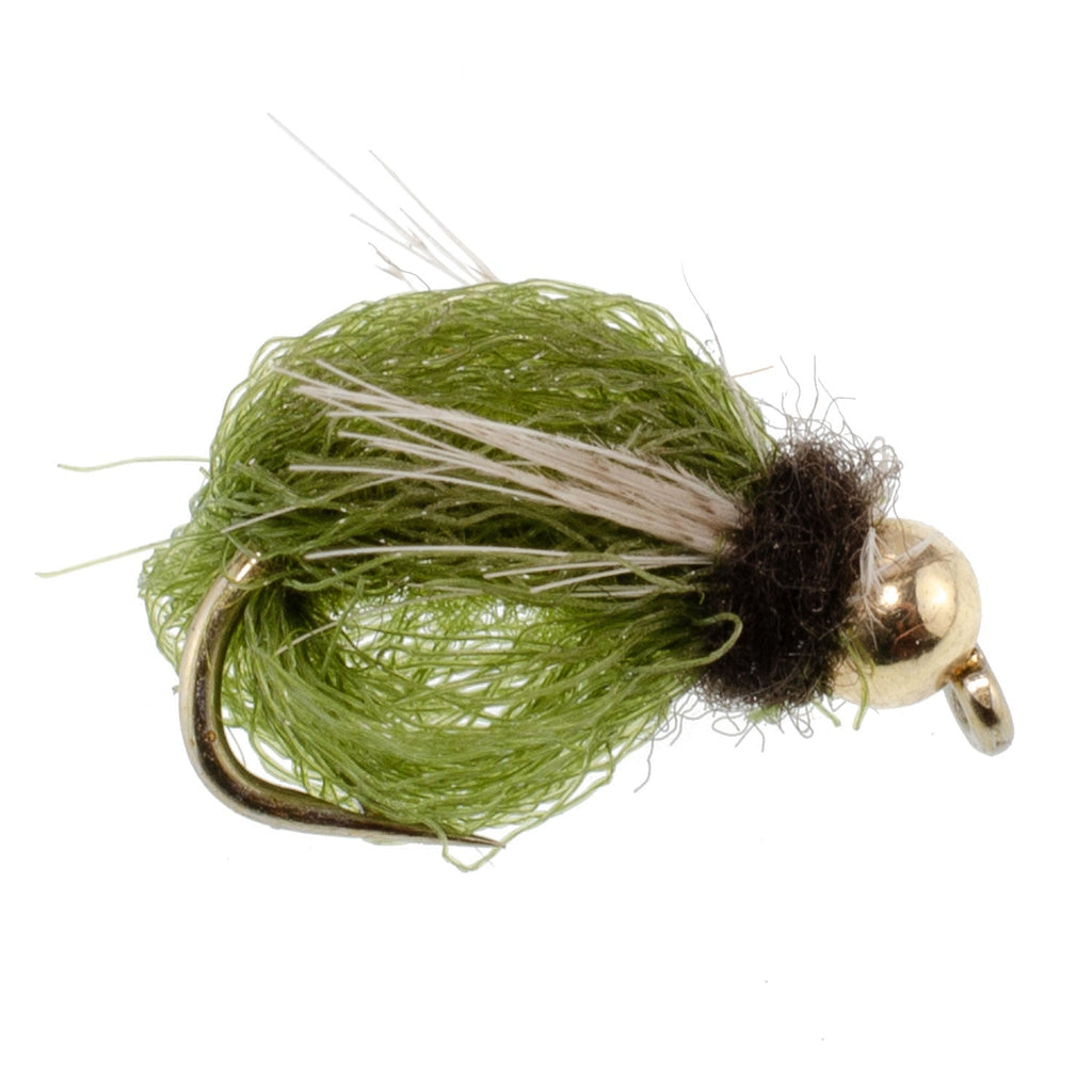 Bead Head LaFontaine Olive Deep Sparkle Caddis Pupa - 12Flies Size 16