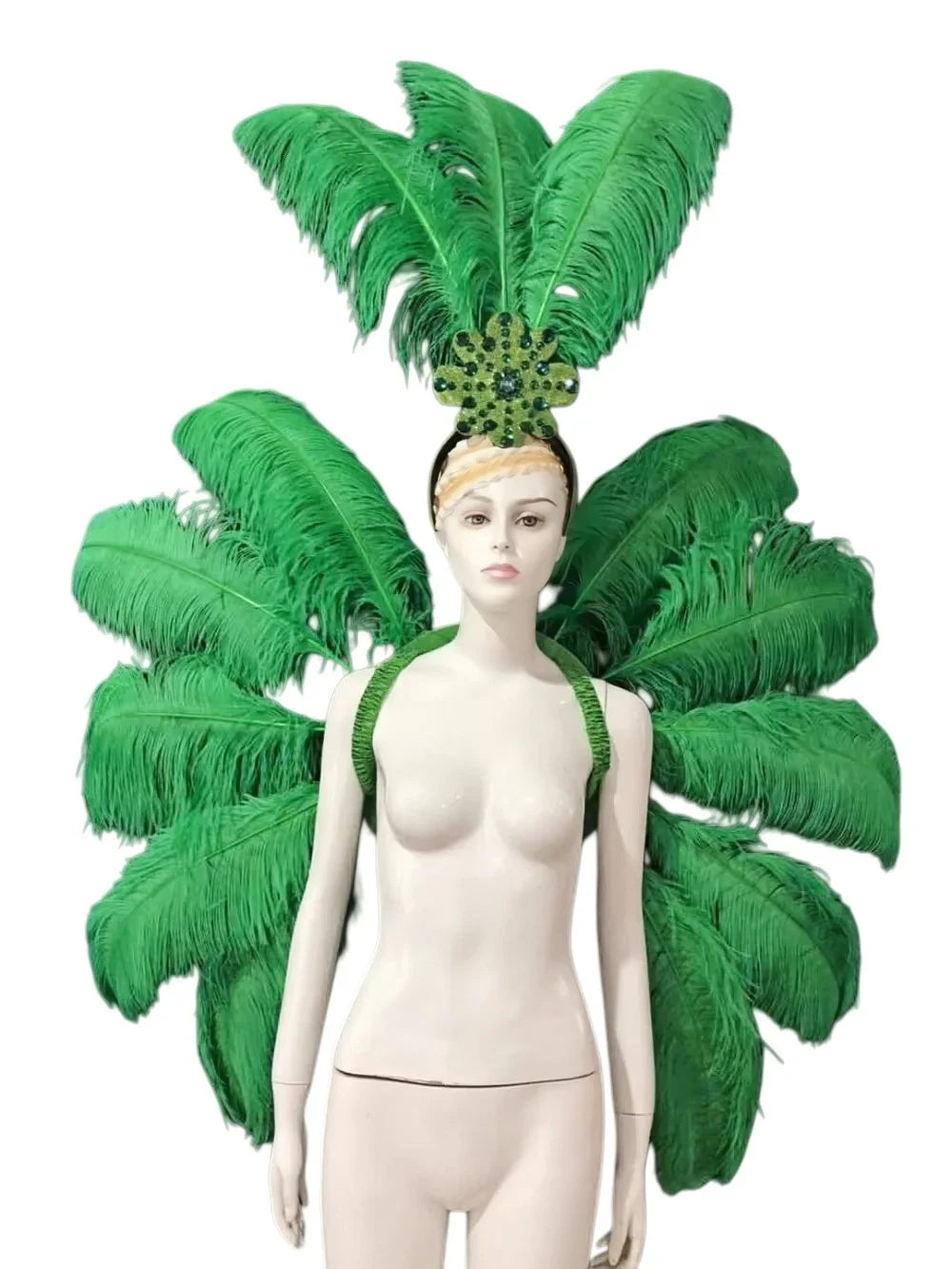Feather Backpiece and Plume Headdress Set