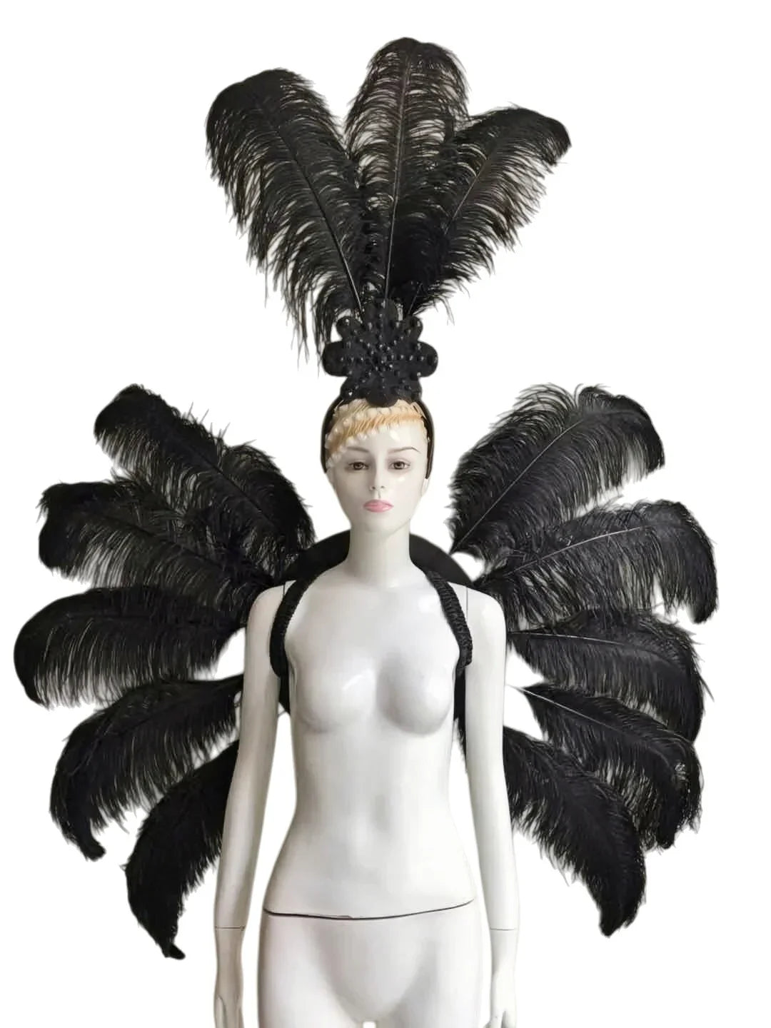 Feather Backpiece and Plume Headdress Set