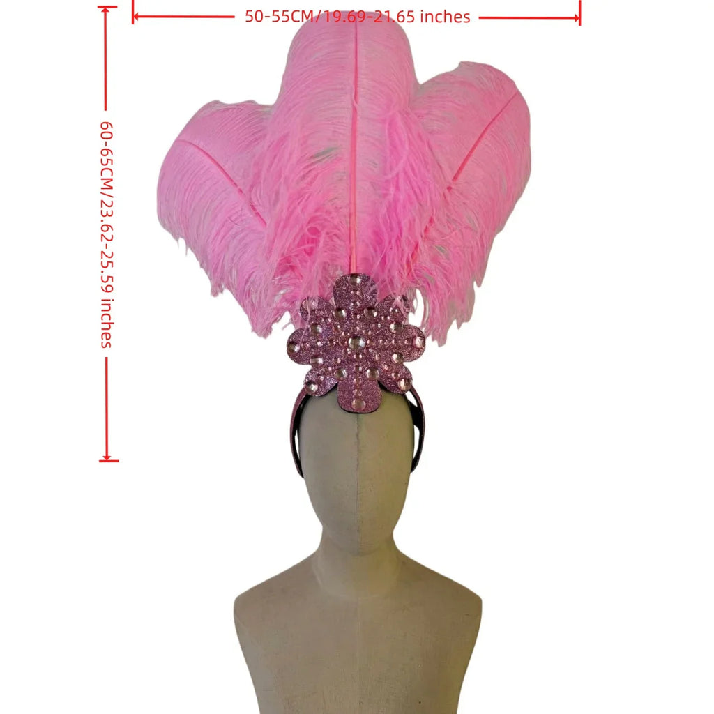 Feather Backpiece and Plume Headdress Set
