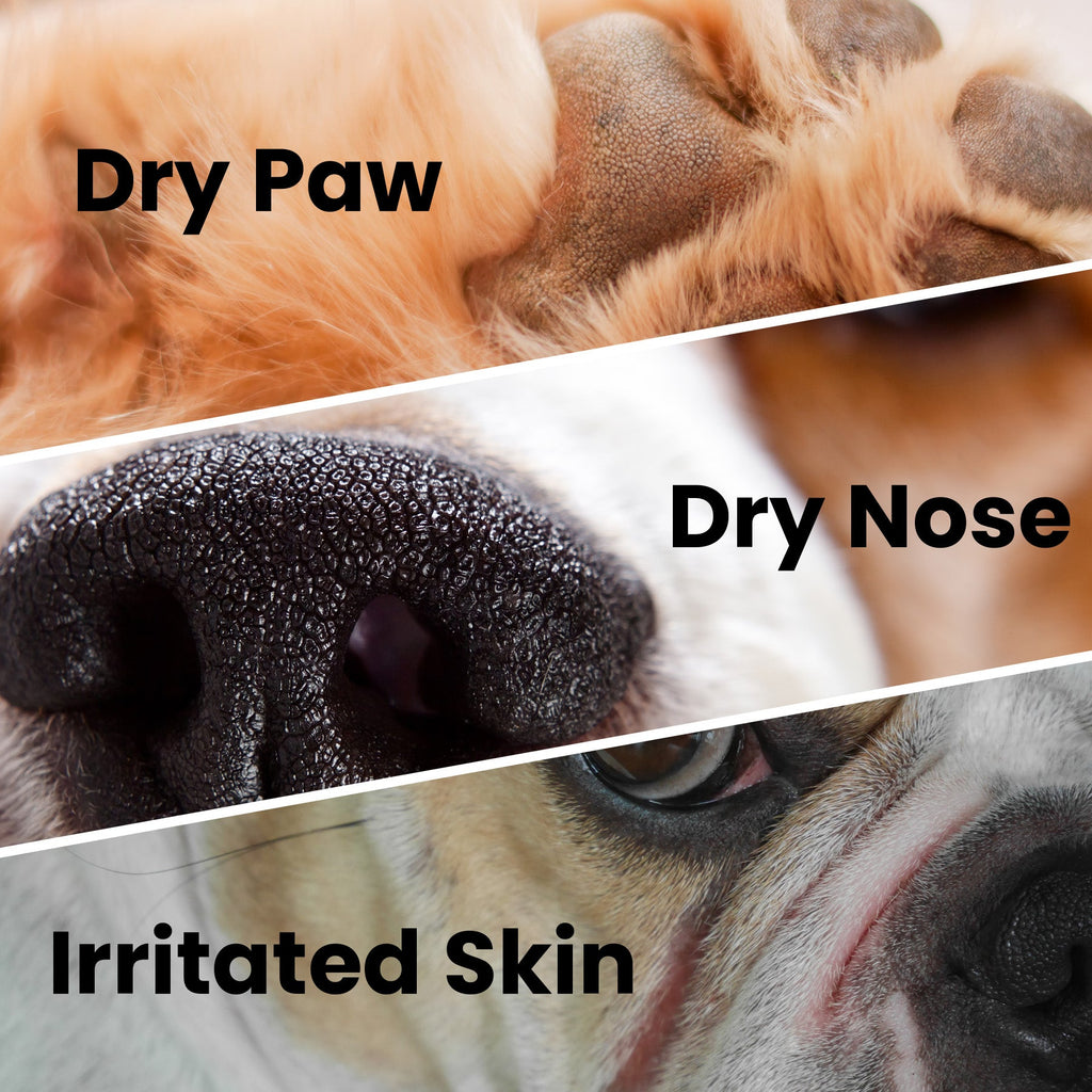 Dog Skin Healing Cream (Fast-Acting, Soothing Relief) – 4 oz