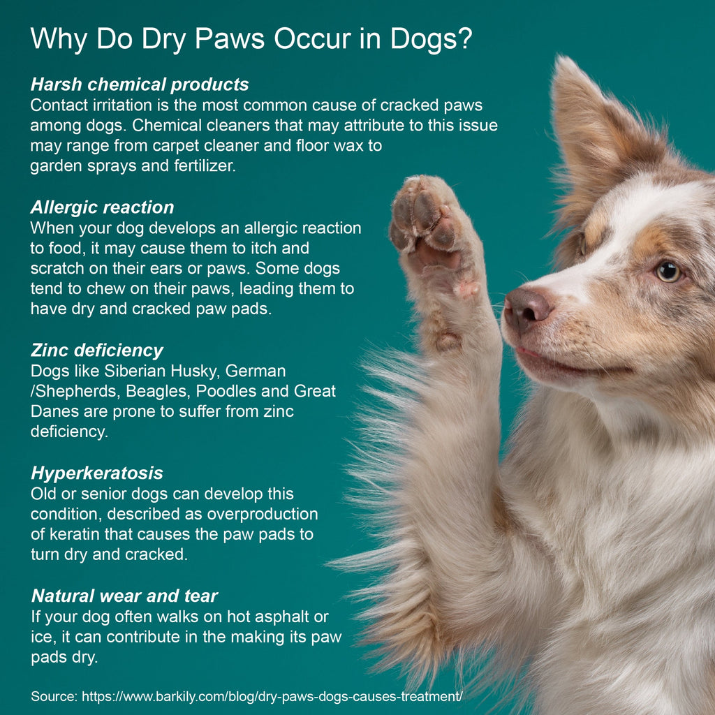 Dog Skin Healing Cream (Fast-Acting, Soothing Relief) – 4 oz