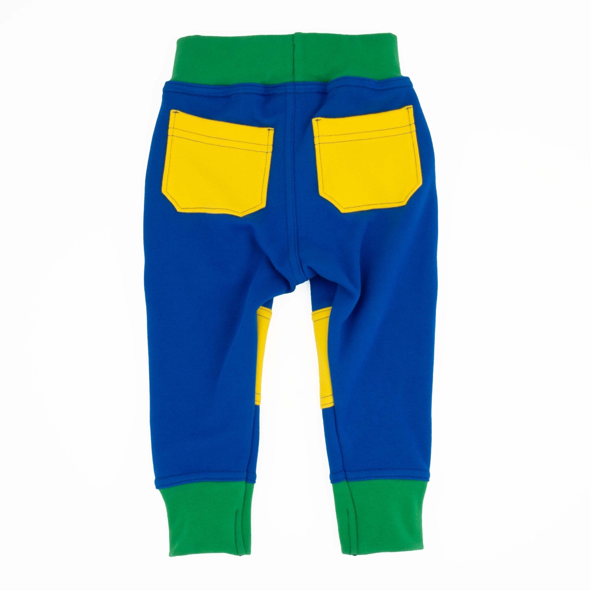 Adult Colorblock Joggers