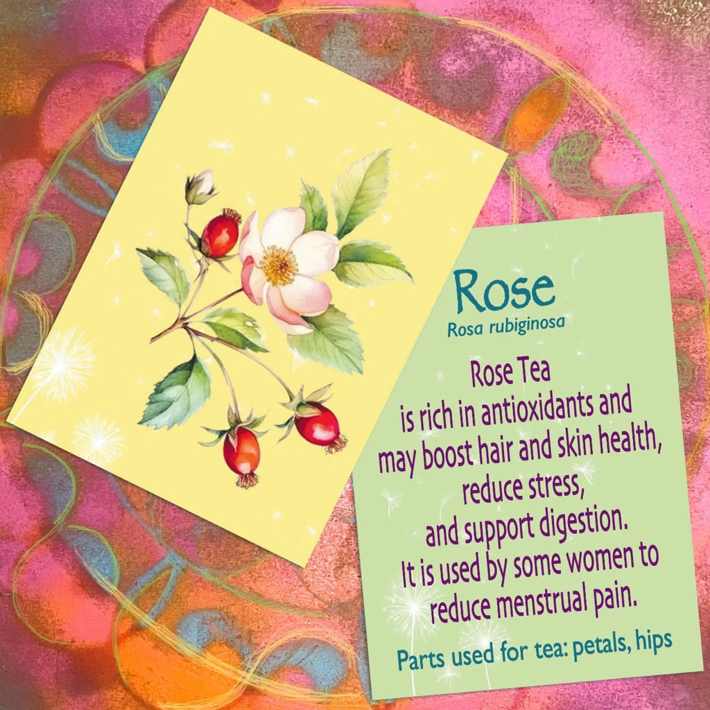 Healing Plants: Herbal Teas for Vitality, 52 Flashcards